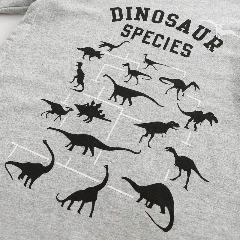HowJoJo Boys Dinosaur Shirts Kids Cotton Long Sleeve T Shirts Graphic Crewneck Tees Gray Size 7/6-7 - Image 4